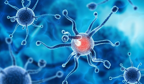 Disease Biology - 2026